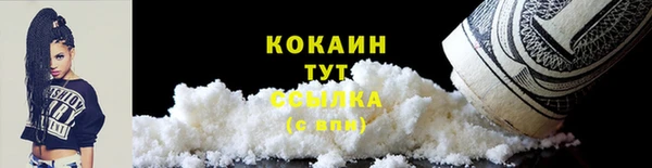 ГАЛЛЮЦИНОГЕННЫЕ ГРИБЫ Магас