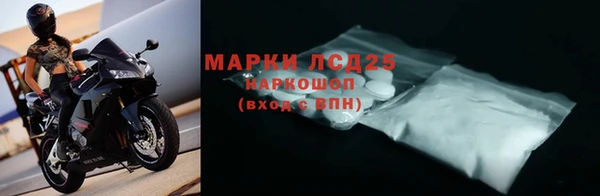сатива Магадан