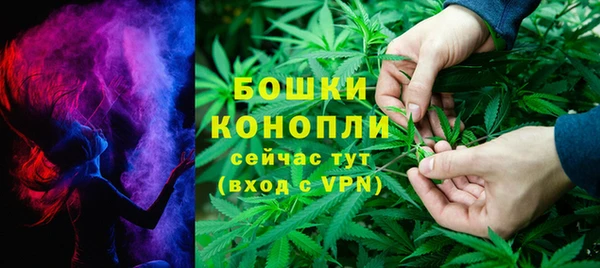 ГАЛЛЮЦИНОГЕННЫЕ ГРИБЫ Магас