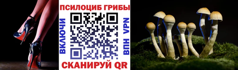 купить наркотики сайты  Одинцово  Псилоцибиновые грибы мицелий 